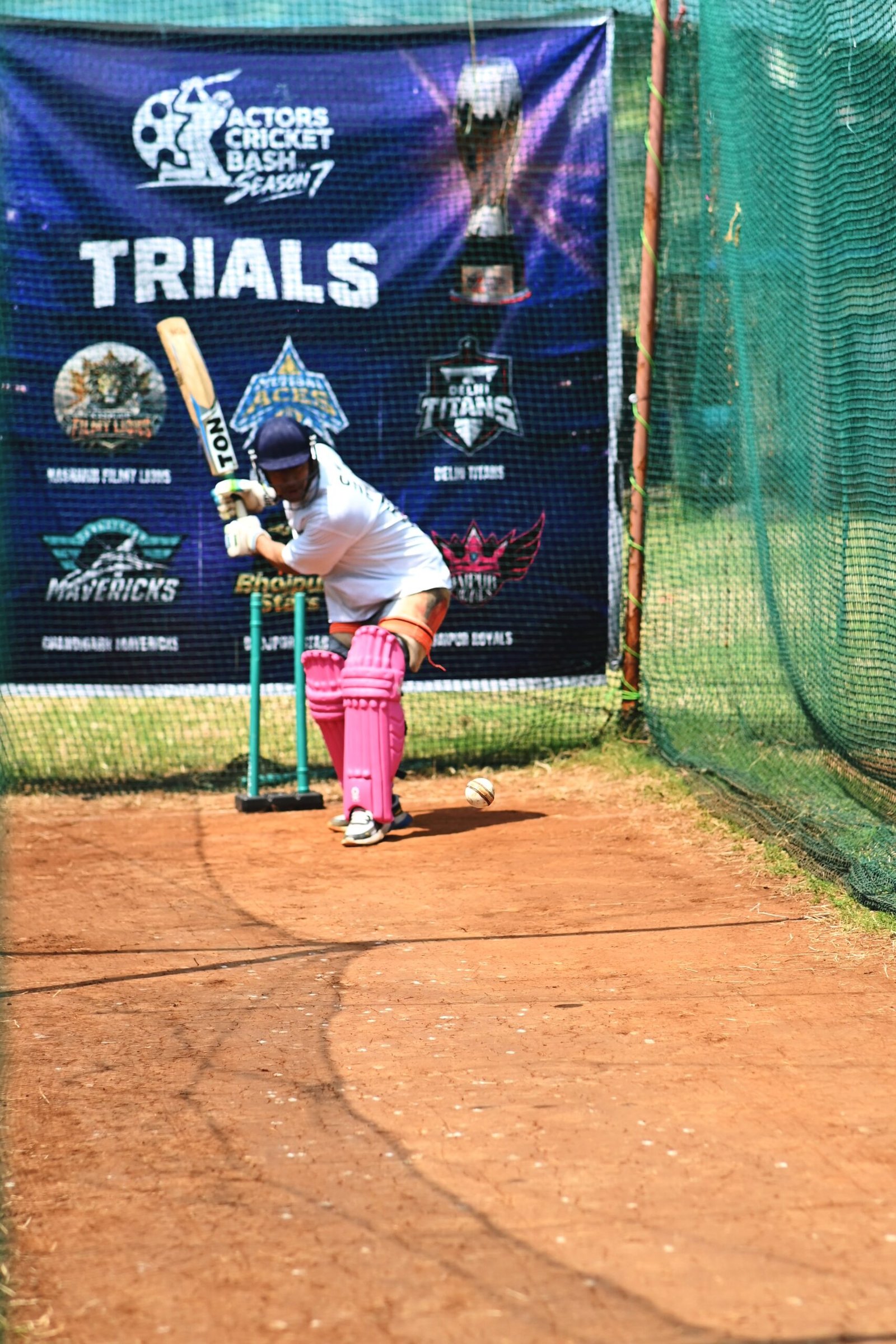 06_Young_batter_TUC_6909 06_Young_batter_TUC_6909